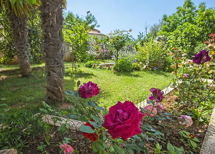 Danica-3 By Interhome Apartament *